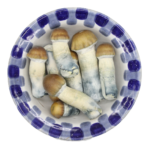 Premium Blue Meanie Magic Mushrooms